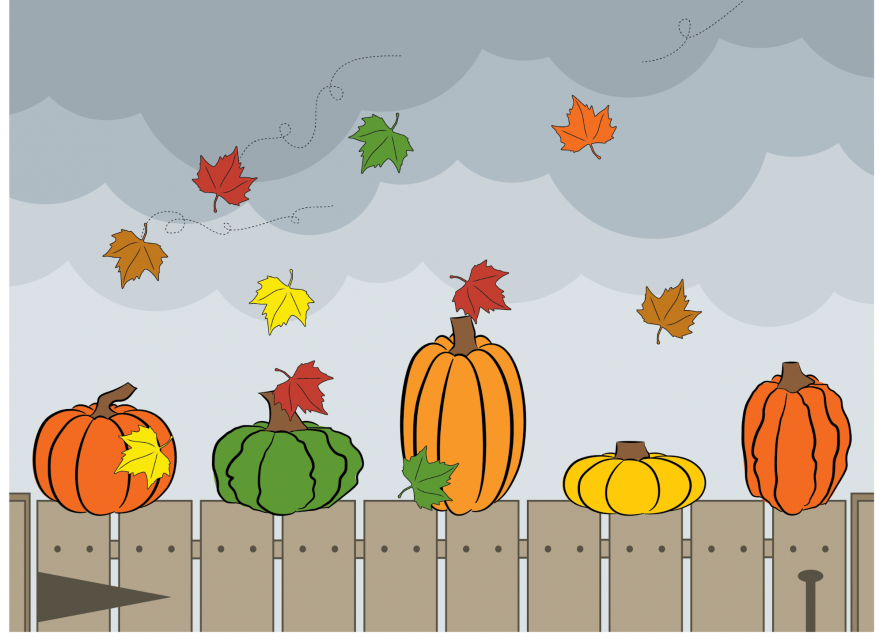 There are 5 pumpkins sitting on a wooden fence and 10 leaves blowing in the wind.