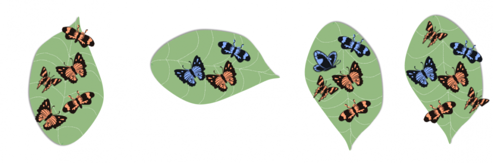A leaf with 5 orange butterflies. A leaf with 2 blue butterflies and 1 orange butterfly. A leaf with 2 blue butterflies and 3 orange butterflies. A leaf with 2 blue butterflies and 4 orange butterflies.