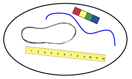 Objects inside a circle: a ruler, a string, a footprint, and a cube train.