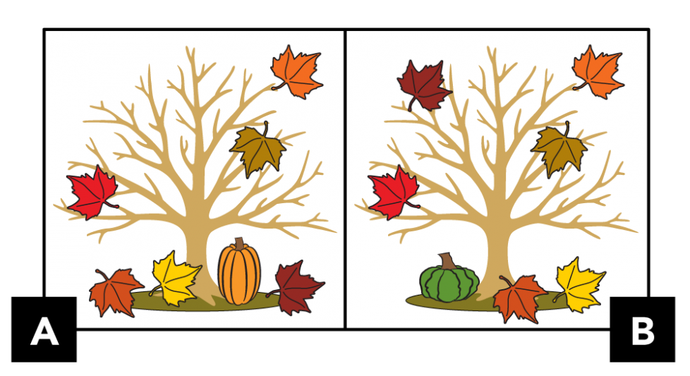 A. A tree with 3 leaves in its branches. 3 leaves have fallen to the ground next to a tall orange pumpkin that is to the right of the tree trunk. B. A tree with 4 leaves in its branches. 2 leaves have fallen to the ground next to a short, bumpy, green pumpkin to the left of the tree trunk.
