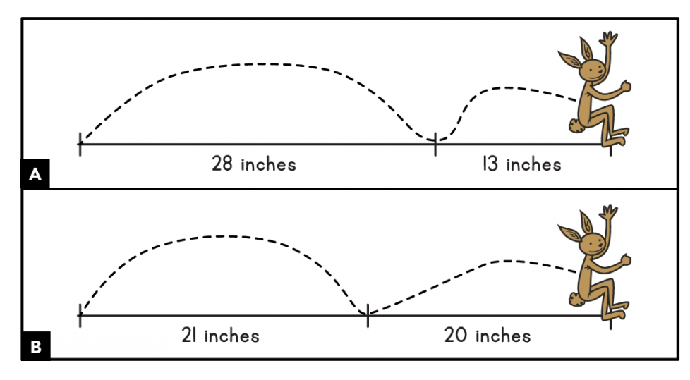 A. A hare hops along a line. The first jump is 28 inches. The second jump is 13 inches. B. A hare hops along a line. The first jump is 21 inches. The second jump is 20 inches.