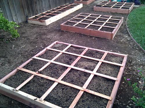 A planter box divided into 8 equal sections. The garden is 4 feet by 4 feet.