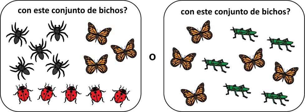 ¿Con este conjunto de bichos? 5 arañas negras. 3 mariposas anaranjadas. 5 mariquitas rojas. ¿O con este conjunto de bichos? 5 mariposas anaranjadas y 5 saltamontes verdes.