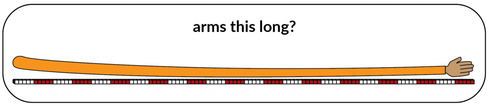 arms 120 cubes long?