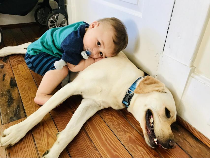 Sister está acostada en el piso. El cachorro Jimmy se agacha a la par de Sister y reposa la cabeza sobre su costado.