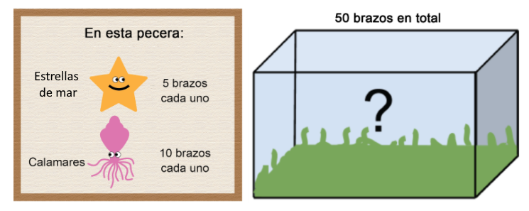 En esta pecera del acuario hay estrellas de mar de 5 brazos y calamares de 10 brazos. Gina contó 50 brazos en total. 
