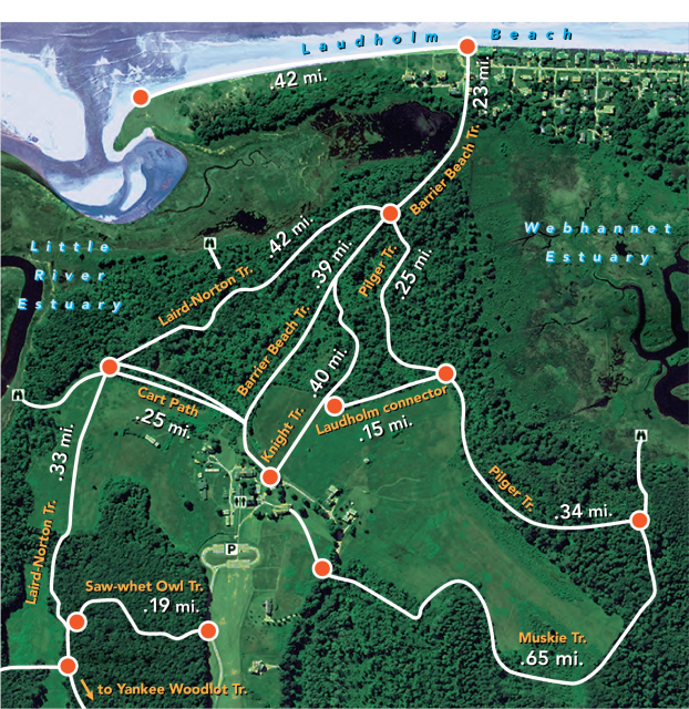 El tramo de Laudholm Beach por el que caminan mide 0.42 millas. Desde el estacionamiento hasta la intersección con los senderos Laird-Norton Trail y Pilger Trail, el sendero de Barrier Beach mide 0.39 millas. Desde ahí hasta Laudholm Beach son 0.23 millas más. La sección del sendero Norton Trail entre el sendero Barrier Beach Trail y Cart Path es 0.42 millas. La sección del sendero Laird Norton Trail que se une con el sendero Saw-whet Owl Trail mide 0.33 millas. El sendero de Saw-Whet Owl Trail mide 0.19 millas. El sendero Cart Path mide 0.25 millas. La sección del sendero Pilger Trail entre el sendero Barrier Beach Trail y el conector Laudholm Connector mide 0.25 millas. La sección del sendero Pilger Trail que se conecta con el sendero Muskie Trail mide 0.34 millas. El sendero Muskie Trail mide 0.65 millas. El conector Laudholm Connector mide 0.15 millas. El sendero Knight's Trail entre el sendero de Barrier Beach Trail y el sendero Pilger Trail mide 0.40 millas.