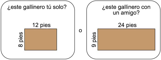 este gallinero tú solo? Mide 8 pies por 12 pies. ¿O este gallinero con un amigo? Mide 9 pies por 24 pies.