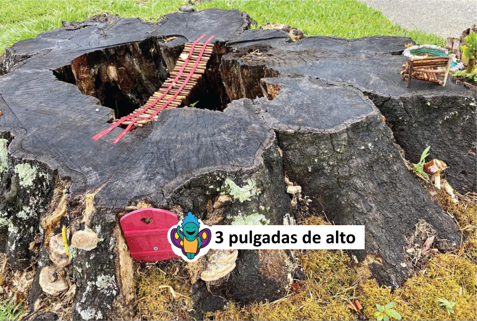 Un tocón de árbol tiene una puerta roja pequeña metida en una grieta. Se ve como que si la puerta se abre hacia el tocón. El hada está junto a la puerta. Hay un agujero grande en el tocón, pero un puente lo atraviesa. El puente está hecho de palitos cortos e hilo rojo. También hay una silla pequeña hecha del mismo tipo de palitos.