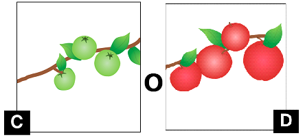 C. muestra 3 manzanas verdes pequeñas y 4 hojas verdes en una rama. D. muestra 4 manzanas rojas grandes y 3 hojas verdes en una rama.