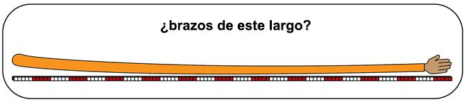 brazos de 120 cubos de largo?