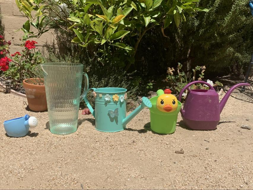 A row of 5 watering cans. The first one is small and blue. The second one is tall and clear. The third one is medium and blue with flowers on it. The fourth one is small and green with a duck on it. The fifth one is medium and purple with a long spout.