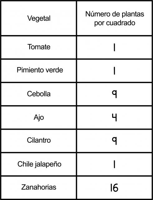 Una tabla con 2 columnas. En la primera columna hay vegetales. En la segunda columna está el número de plantas por cada cuadrado del huerto. Tomate: 1. Pimiento verde: 1. Cebolla: 9. Ajo: 4. Cilantro: 9. Chile jalapeño: 1. Zanahorias 16.