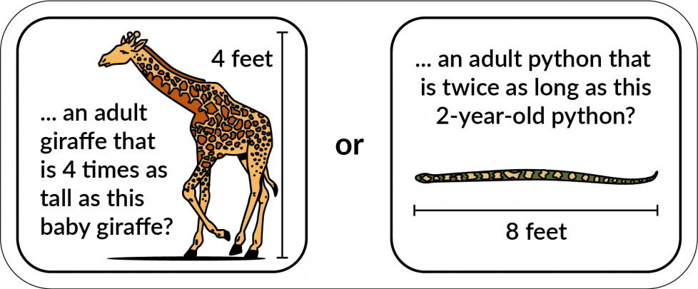 An adult giraffe that is 4 times as tall as this 4-foot baby giraffe. Or, an adult python that is twice as long as this 8-foot 2-year-old python.