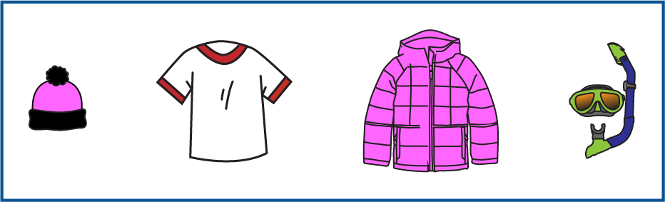 Objetos para elegir: Una gorra de invierno. Una camiseta de manga corta. Un abrigo de invierno. Un equipo para bucear con tubo.