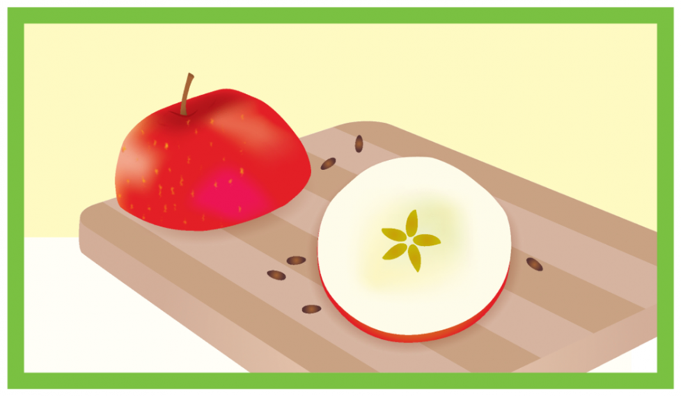 Someone cut an apple into 2 equal pieces. On one piece, the spaces for seeds make a flower shape with 5 petals. 3 seeds make a group and 2 seeds make another group. 1 seed is by itself. The cutting board has 7 stripes. 4 stripes are a dark color and 3 are light.