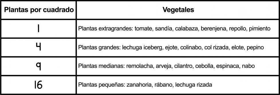 Una tabla con 2 columnas. En la primera columna están las plantas por cuadrado. En la segunda columna están los vegetales. 1: Plantas extragrandes: tomate, sandía, calabaza, berenjena, col, pimientos. 4: Plantas grandes: lechuga iceberg, ejote, rutabaga, kale, maíz, pepino. 9: Plantas medianas: remolacha, guisantes, cilantro, cebolla, espinaca, nabo. 16: Plantas pequeñas: zanahoria, rábano, lechuga rizada.