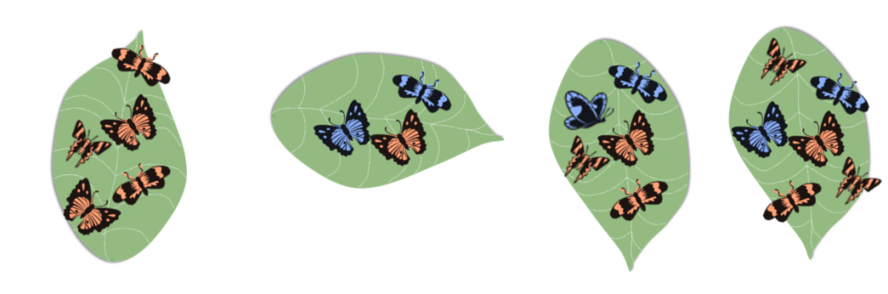 Una hoja con 5 mariposas anaranjadas. Una hoja con 2 mariposas azules y 1 mariposa anaranjada. Una hoja con 2 mariposas azules y 3 mariposas anaranjadas. Una hoja con 2 mariposas azules y 4 mariposas anaranjadas.