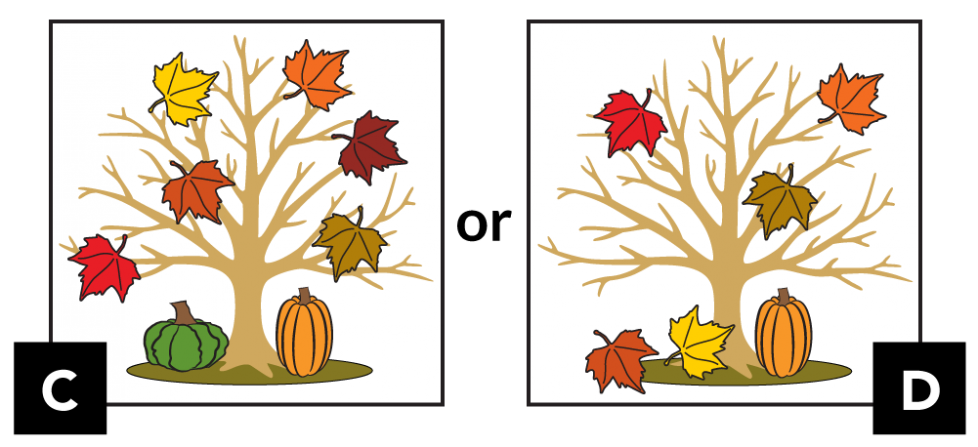 C. A tree with 6 leaves in its branches. To the left of the tree trunk is a short, bumpy, green pumpkin. To the right sits a tall, orange pumpkin. D. A tree with 3 leaves in its branches. 2 leaves have fallen to the ground. A tall, orange pumpkin is to the right of the tree trunk.